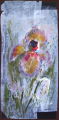 DE L'IRIS (sur papier)